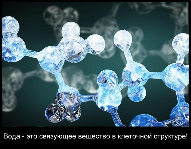 пить много воды полезно
