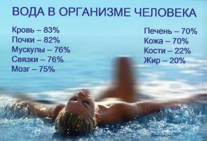 влияние воды на организм человека